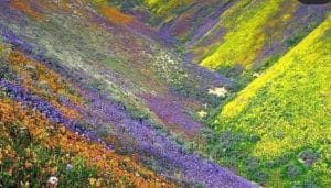 Best Trekking Destinations