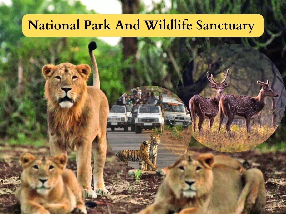 national-park-wildlife-sanctuary