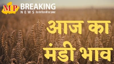 मंडी में मूंग के दाम में उछाल, सोयाबीन कमजोर, जानें आज का ताजा भाव