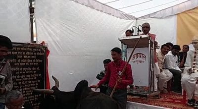 गुना में पहुंची विकास यात्रा, विधायक गोपीलाल जाटव के सभा पंडाल में घुसा मवेशी, जानें फिर क्या हुआ