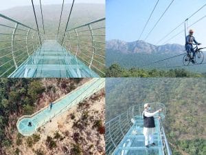 Glass Bridge In Bihar