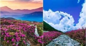 Beautiful Hiking Trails In India