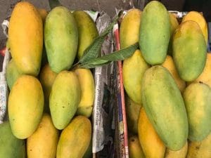 Cities Famous For Mango