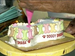 Doggy Dhaba