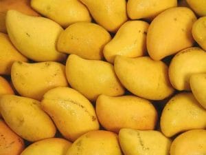Cities Famous For Mango