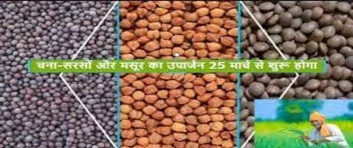 MP News : किसानों के लिए बड़ी खबर, समर्थन मूल्य पर चना, मसूर उपार्जन की तारीख घोषित, ये होंगे नियम, जिलों की घोषणा