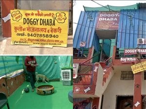 Doggy Dhaba