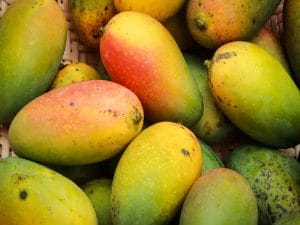 Cities Famous For Mango
