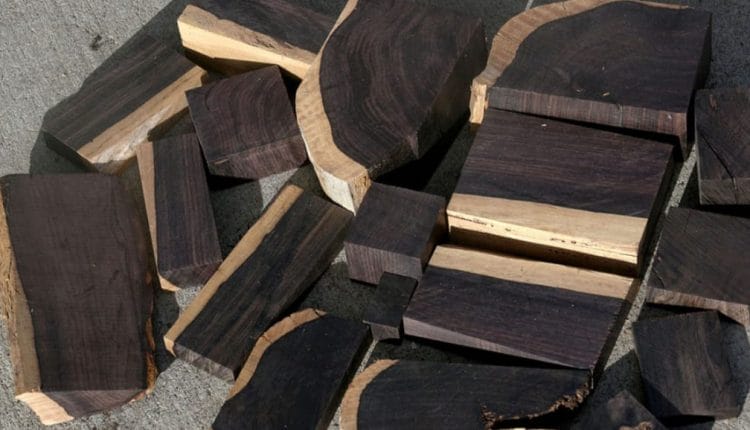 Most Expensive Wood