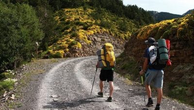 Hiking Destinations: स्प्रिंग सीजन में हाईकिंग के लिए बेस्ट है ये डेस्टिनेशंस, शानदार बन जाएगी एडवेंचर ट्रिप