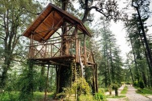 Tourist Spots In Mashobra