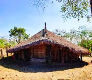 Warli House