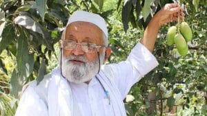 Abdullah Great Mango