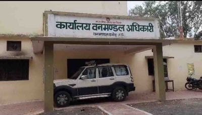 Damoh News : गंगा जमना ग्रुप पर वन विभाग ने कसा शिकंजा, पढ़े पूरी खबर