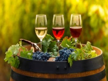 Famous Indian Fruit Wine: ये है भारत में मिलने वाले टॉप 5 वाइन ब्रांड्स, इन खासियतों की वजह से है प्रसिद्ध