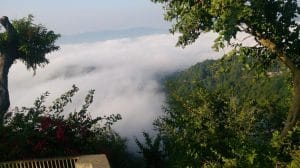 Thaneek Pura Hill Station