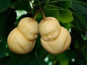 Most Expensive Fruits