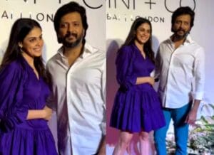 Genelia Deshmukh pregnancy