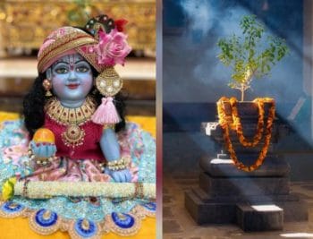 Janmashtami 2023: जन्माष्टमी पर करें तुलसी से जुड़े 4 खास उपाय, पैसों से भर जाएगी तिजोरी, दूर होंगे जीवन के कष्ट