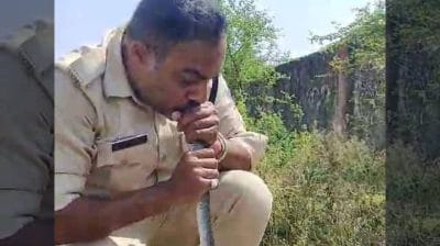 जवान ने सांप को मुंह से सांस देकर बचाई जान, पढ़े पूरी खबर