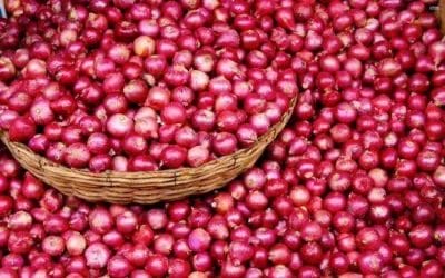 लगातार बढ़ रहे हैं प्याज के दाम, जानिए क्या है अचानक कीमतें बढ़ने की वजह