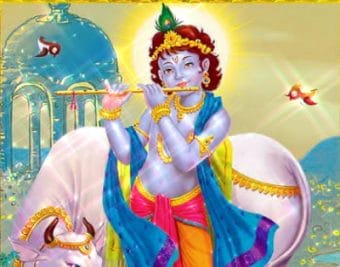 गोपाष्टमी आज, पूरे देश में श्रद्धा के साथ मनाया जा रहा है पर्व, जानिए श्रीकृष्ण और गौमाता की पूजन विधि