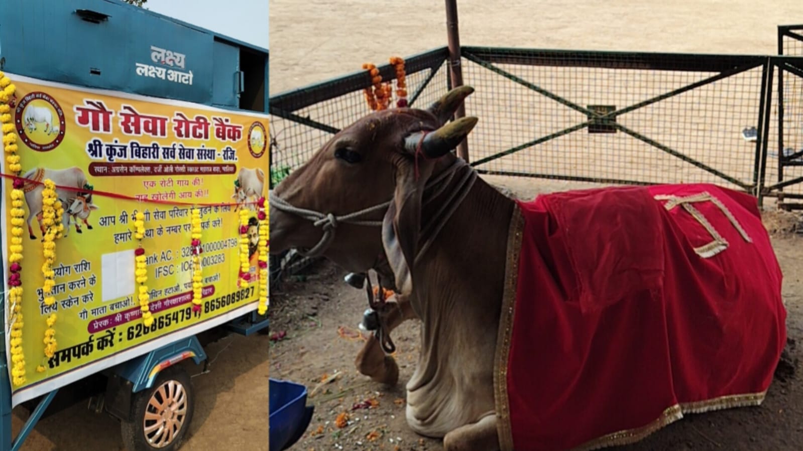 ग्वालियर में गोपाष्टमी पर अद्भुत पहल, गौमाता के लिए शुरू हुआ चलित रोटी बैंक, आप भी बन सकते हैं सहयोगी