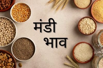 मंडी में तुअर के दाम में जबरदस्त उछाल, गिरे मूंग के रेट, देखें 30 दिसंबर का मंडी भाव