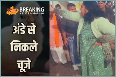 अंग्रेज़ी में ड्यूटी बताना न आया रास, तहसीलदार महोदया ने ली किसान की क्लास, कहा “अंडे से निकला चूजा”