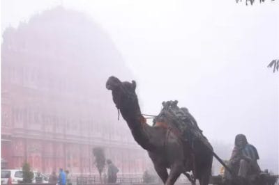 Rajasthan Weather: 7 से 20 नवंबर के बीच कैसा रहेगा प्रदेश का मौसम? क्या होगी बारिश? पढ़े IMD का ताजा पूर्वानुमान