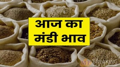 Mandi Bhav: गेहूं और सोयाबीन के भाव में वृद्धि, डॉलर चना भी तेज, देखें 1 सितंबर का सटीक रेट