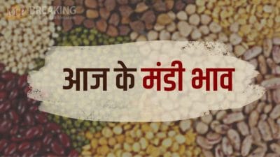 Mandi Bhav: डॉलर और देसी चना के दाम में हुई बढ़ोत्तरी, मूंग में आई जबरदस्त तेजी, देखें 11 मार्च का लेटेस्ट रेट