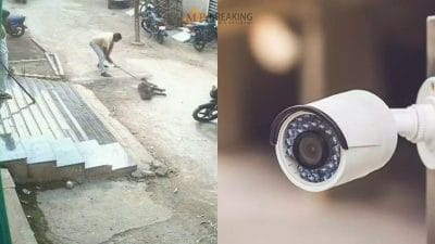 Ujjain News: 2 लोगों ने घेर कर स्ट्रीट डॉग पर डंडे से किया हमला, घटना CCTV में कैद