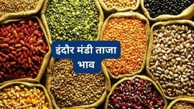 Mandi Bhav: चना कांटा के दामों में रही 100 रुपये की तेजी, अन्य के भी भाव बढ़े, यहां पढ़े प्रदेश का मंडी भाव