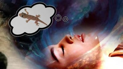 Dream Astrology: सपने में छिपकली देखने से मिलते हैं कई संकेत, हो जाएं सावधान