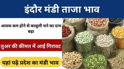 Mandi Bhav: आवक कम होने से काबुली चने का दाम बढ़ा, तुअर की कीमत में आई गिरावट, यहां पढ़े प्रदेश का मंडी भाव