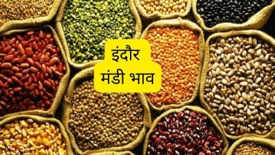 Mandi Bhav: मूंग के दाम में जबरदस्त तेजी, देसी और डॉलर चना में गिरावट, देखें 16 जनवरी का सटीक रेट