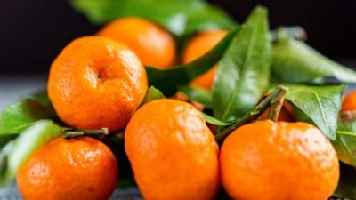 Dream Astrology: संतरे से जुड़े सपनों का होता है यह अर्थ, लाइफ में तरक्की का माना जाता है संकेत