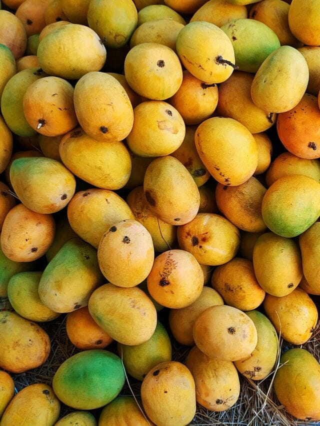 लू और गर्मी से बचाएगा आम का तउहा, ऐसे बनाएं