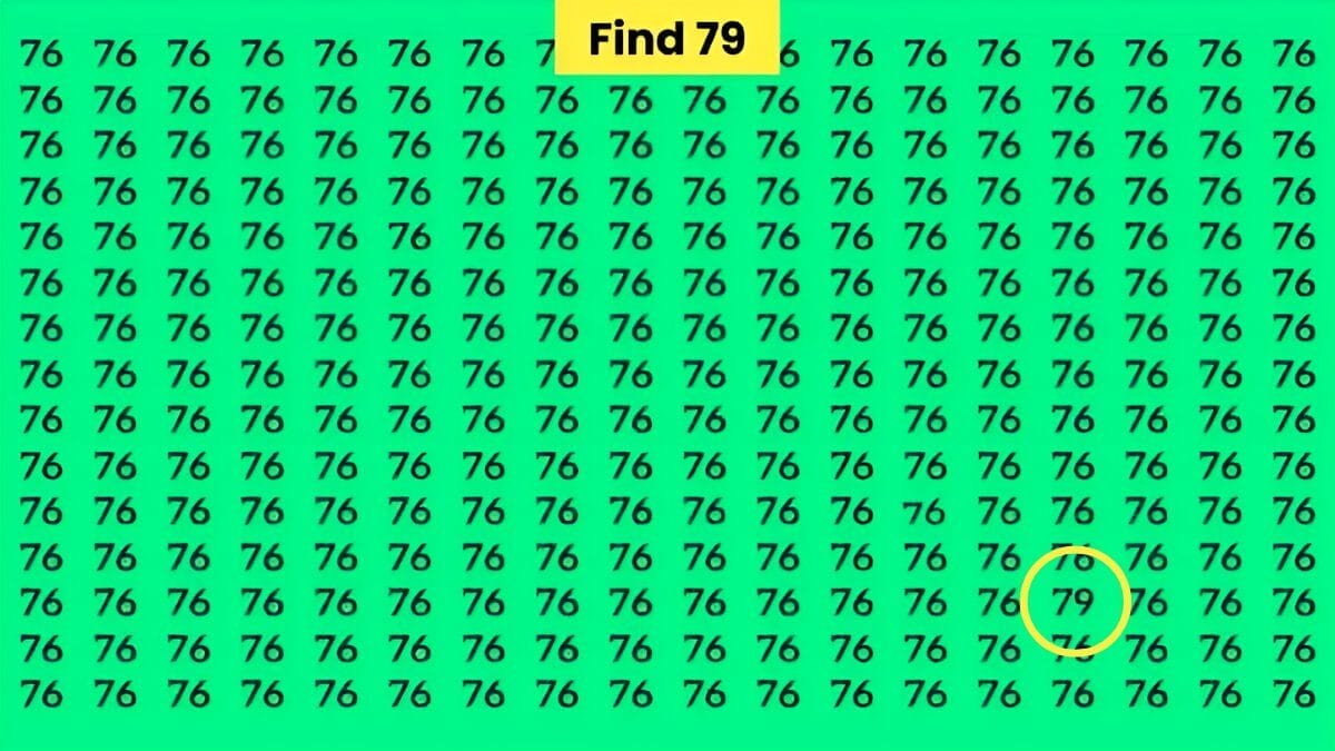 Hidden Optical Illusion