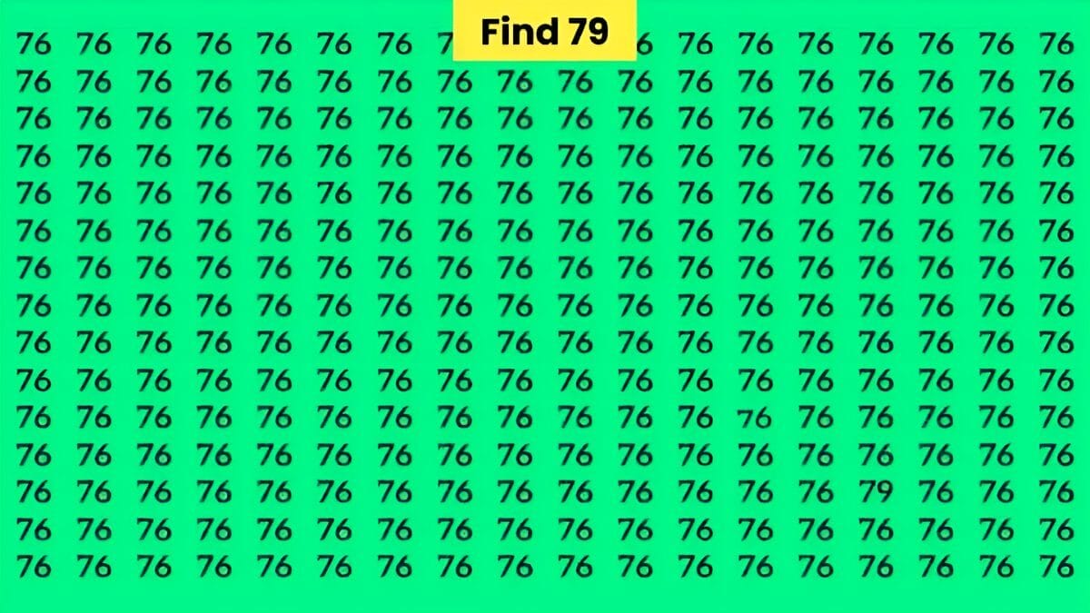 Optical illusions 79 76