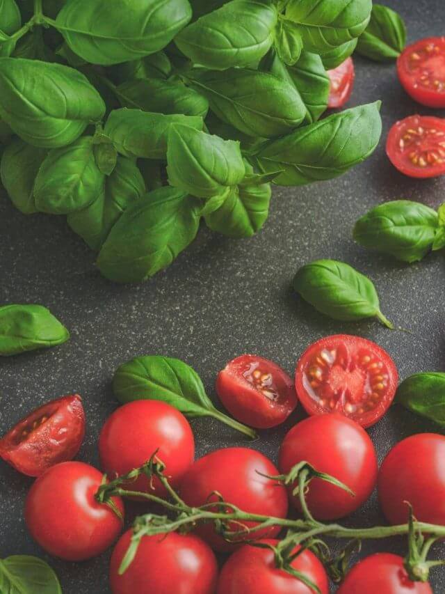 weight loss: अपने आहार में शामिल करें ये 8 लो-कैलोरी फूड्स