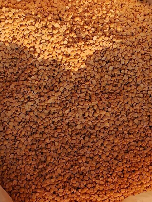 रोजाना मसूर की दाल खाने के 8 फायदे