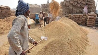 एमपी के किसानों के लिए अपडेट, अब 15 मार्च से समर्थन मूल्य पर गेहूं खरीदी, 175 रुपये मिलेगा बोनस, जानें पंजीयन की लास्ट डेट