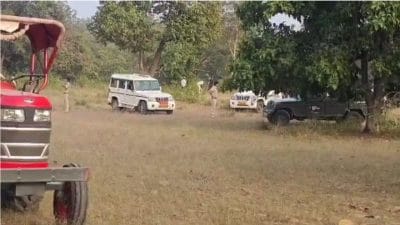 बांधवगढ़ टाइगर रिजर्व में 4 हाथियों की संदिग्ध अवस्था में हुई मौत, 10 गंभीर रूप से बीमार, जाँच में जुटा पार्क अमला