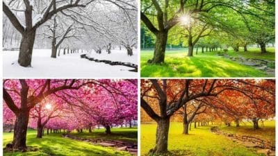 Personality Test: ठंड, गर्मी या बारिश कौन सा मौसम है आपका पसंदीदा, खुलेंगे व्यक्तित्व के गहरे राज