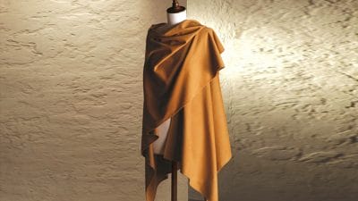 ये है दुनिया का सबसे महंगा फैब्रिक, इससे बने मोजे की कीमत में खरीद सकते हैं सोना