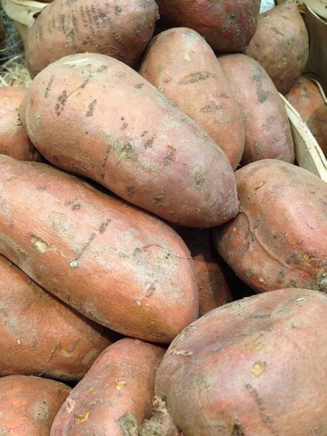 शकरकंद: स्वास्थ्य के लिए 8 आश्चर्यजनक लाभ