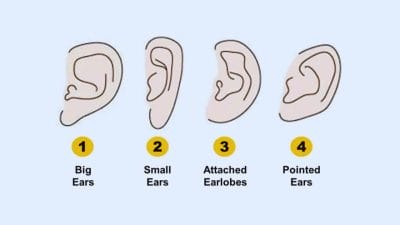 Personality Test: कान की बनावट में छुपे हैं व्यक्तित्व के गुण, आसानी से पहचानें किसी का भी स्वभाव