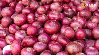 महंगाई के आंसू रुला रहा प्याज! 5 साल के उच्चतम स्तर पर पहुंची कीमतें, जानिए कब तक उतर सकते हैं इसके दाम?